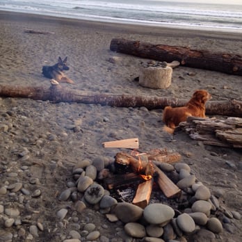 Quileute Oceanside Resort - Bonfire on the beach is okay but need a permit. - Hotels Near Me - La Push, Washington Quileute Oceanside Resort - Bonfire on the beach is okay but need a permit. - Hotels Near Me - La Push, Washington