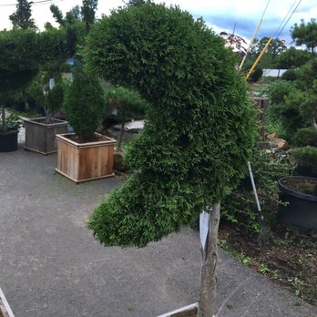 Woehler Landscaping - Landscaping Near Me - Pittsburgh, Pennsylvania Woehler Landscaping - Landscaping Near Me - Pittsburgh, Pennsylvania