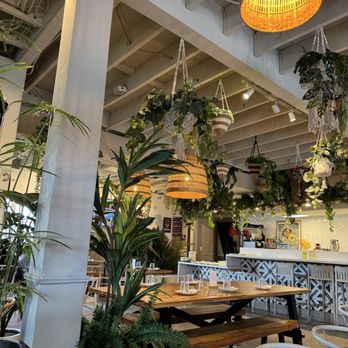 Flama Llama - View of inside seating area - Latin American Near Me - San Diego, California