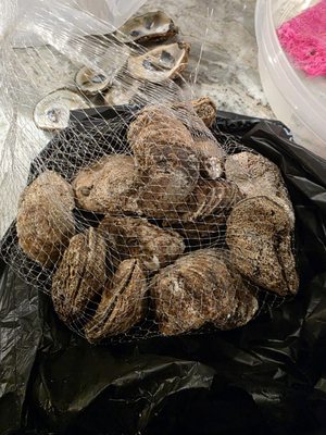 Kellum Farms Produce & Seafood