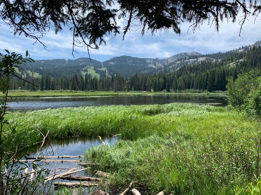 Big Cottonwood Canyon by null
