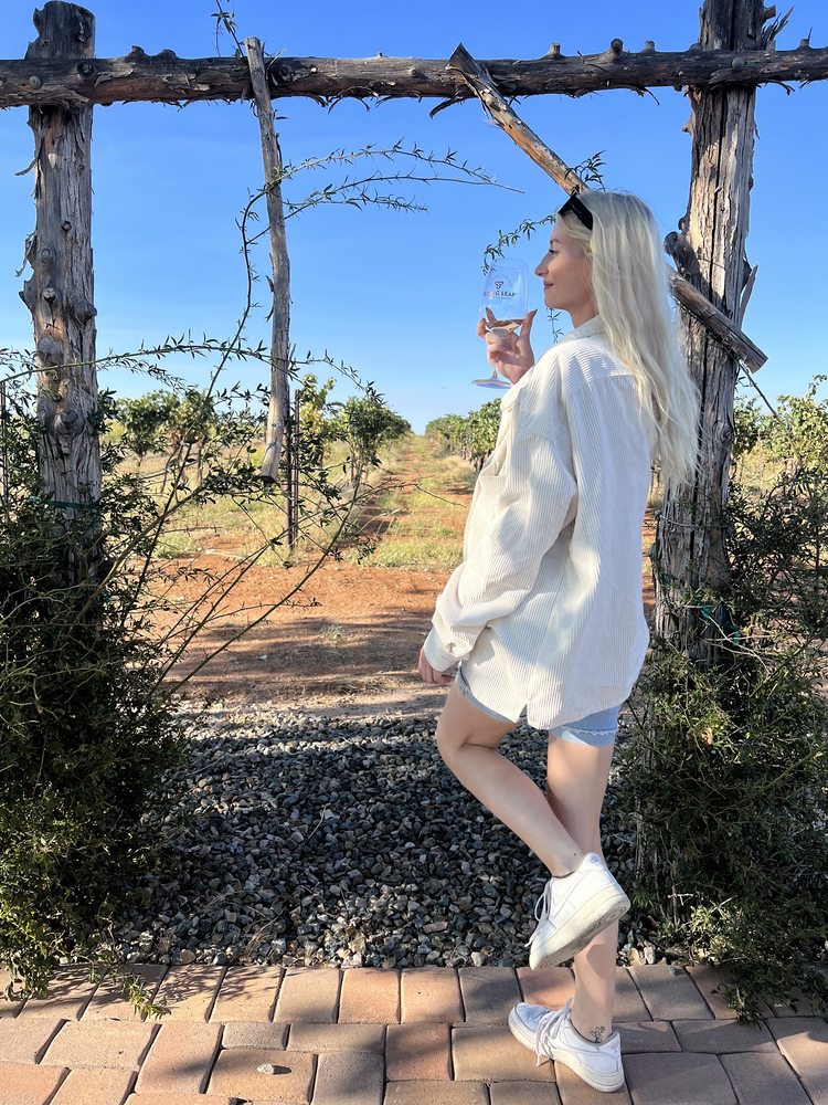 Flying Leap Vineyards Tasting Room - vineyard in Tucson, AZ