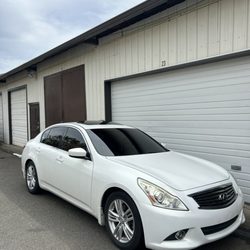 T5Tints