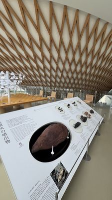 Mt. Fuji World Heritage Centre by null