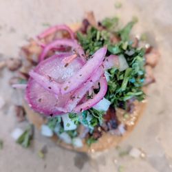 Tacos Los Cholos - Fullerton - Pork belly