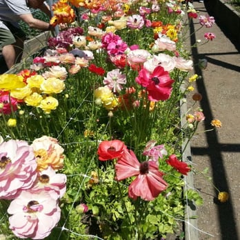 Filoli - Botanical Gardens Near Me - Woodside, California