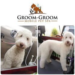 mobile dog grooming brooklyn