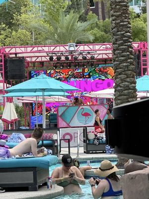 Flamingo Pool at Flamingo Las Vegas by null