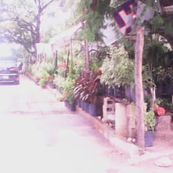 Vivero Av. Chac Mool