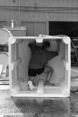 Madson Wines by null