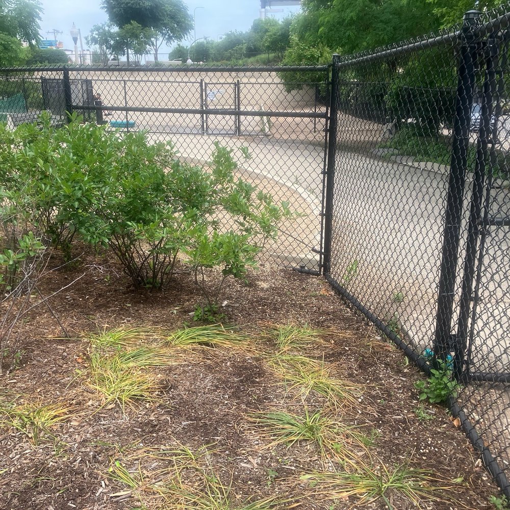 The Best 10 Dog Parks near Kimpton Hotel Palomar Chicago in Chicago, IL -  Yelp