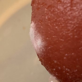 Biryani Kabab - Fungus infested Gulab Jamun. Very disappointing! - Pakistani Near Me - Oakland, California Biryani Kabab - Fungus infested Gulab Jamun. Very disappointing! - Pakistani Near Me - Oakland, California