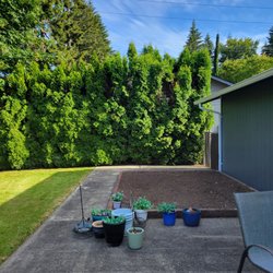 Green Ocean Landscaping