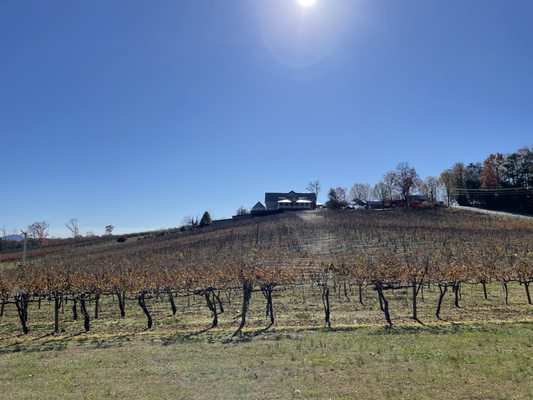 Frogtown Cellars by null