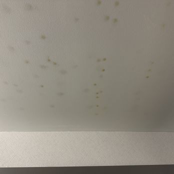 Courtyard by Marriott Carson City - Wet and dry mold on bathroom ceiling. - Hotels Near Me - Carson City, Nevada Courtyard by Marriott Carson City - Wet and dry mold on bathroom ceiling. - Hotels Near Me - Carson City, Nevada