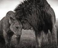 Elizabeth Fisher, PhD - grief counselor in Portland, OR