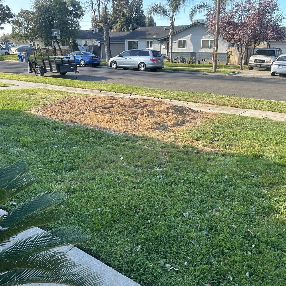 Caliarbor - No mess left behind - Tree Services Near Me Caliarbor - No mess left behind - Tree Services Near Me