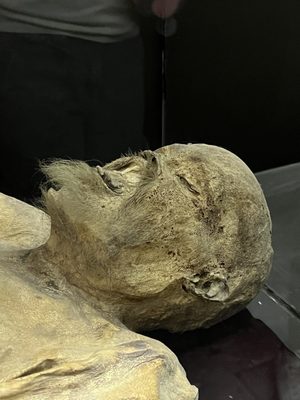 Museum of the Mummies of Guanajuato by null