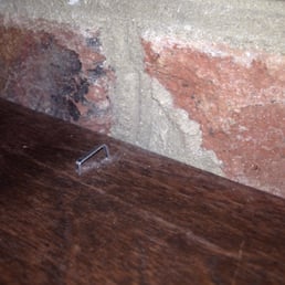 Staple left in my expensive hardwood mantelpiece