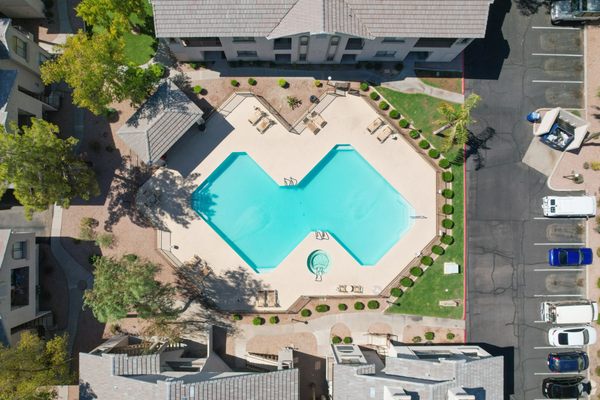 The Polo Club by null