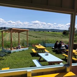 El'Drée Tacos - What a great view to enjoy your tacos