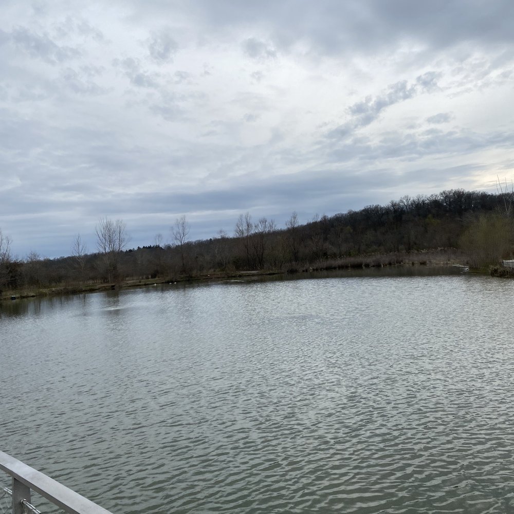 North Wetland - Parks Near Me - Jeffersontown, Kentucky North Wetland - Parks Near Me - Jeffersontown, Kentucky