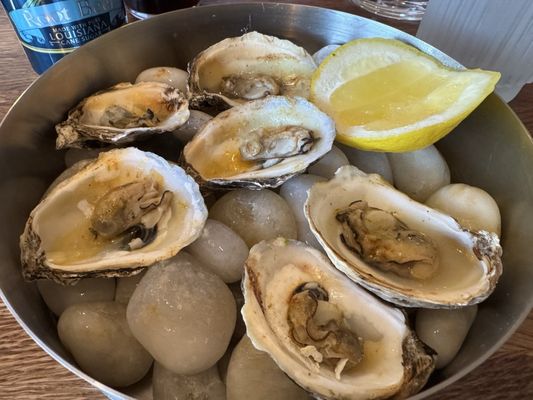 Standard Fare by null