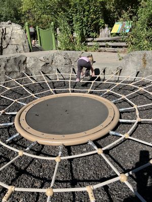 Northwest Trek Wildlife Park