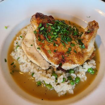 Amaro Bistro - Pollo Arrosto - divine! - Italian Near Me - Bothell, Washington Amaro Bistro - Pollo Arrosto - divine! - Italian Near Me - Bothell, Washington
