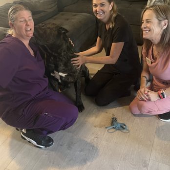 Hurleys Haven Mobile Veterinary Care - Veterinarians Near Me Hurleys Haven Mobile Veterinary Care - Veterinarians Near Me