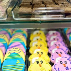 Salty Paws Pet Boutique