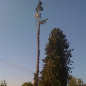 Associated Arborists - Tree Services Near Me - McMinnville, Oregon Associated Arborists - Tree Services Near Me - McMinnville, Oregon