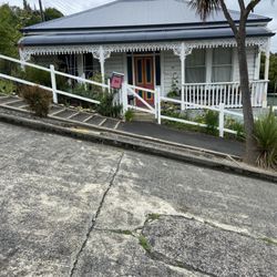 Baldwin Street - Shows how steep the grade is