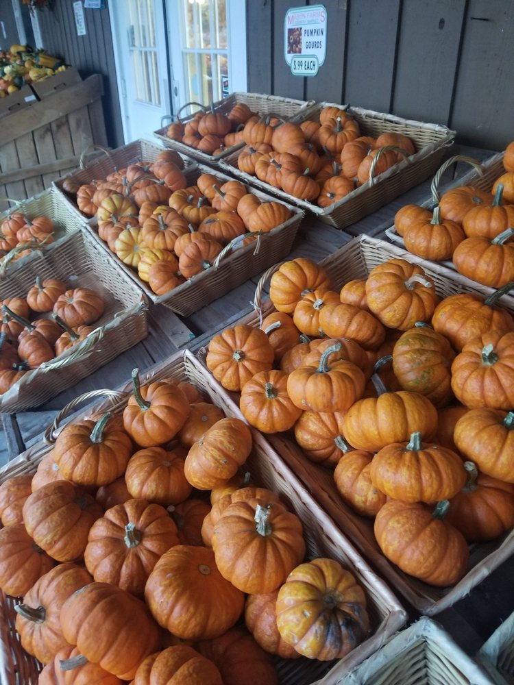 Mason Farms Country Market, Erie Roadtrippers