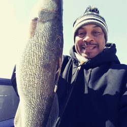 Moe's Bait Shop - Walleye on a 3/4 ounce chartreuse jighead with a walleye assassin