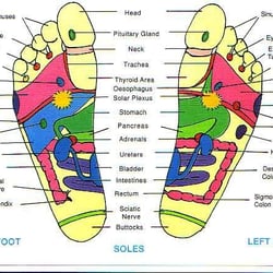 Sole Journey Reflexology