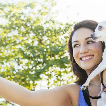 Miami Dog Butler - Dog Walkers Near Me - Miami, Florida Miami Dog Butler - Dog Walkers Near Me - Miami, Florida