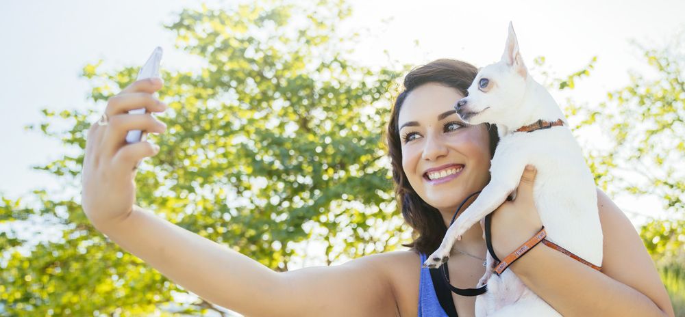 Miami Dog Butler - pet boarding facility in Miami, FL