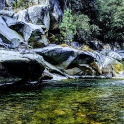 Kern River Fly Shop - Kern River Fishing