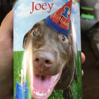 Pawsitively Heaven Pet Resort - Joey's Birthday Gift from Pawsitively Heaven. - Pet Groomers Near Me - Chicago Ridge, Illinois
