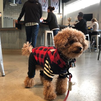 Fair Winds Brewing - Very dog friendly - Breweries Near Me - Lorton, Virginia Fair Winds Brewing - Very dog friendly - Breweries Near Me - Lorton, Virginia