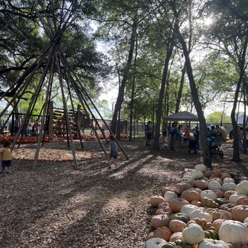Indian Springs Ranch - Pumpkin Patches Near Me - Manchaca, Texas