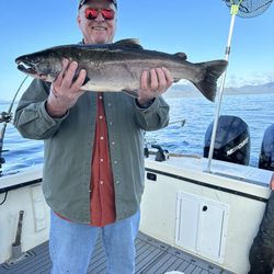 Svenson Sportfishing - Several nice silvers