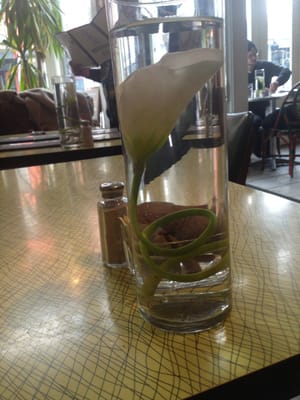 Le Gamin Country by null