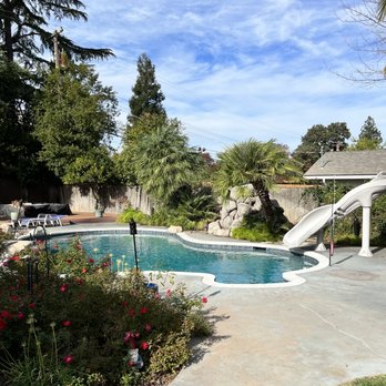 TreeMax Tree Service - After - Tree Services Near Me - Citrus Heights, California TreeMax Tree Service - After - Tree Services Near Me - Citrus Heights, California
