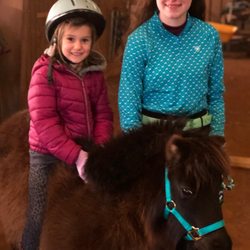 Sunny Brook Stables