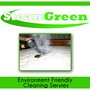 Photo of Steam Green Services