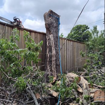 Heavy's Tree Service - Tree Services Near Me - Denton, Texas