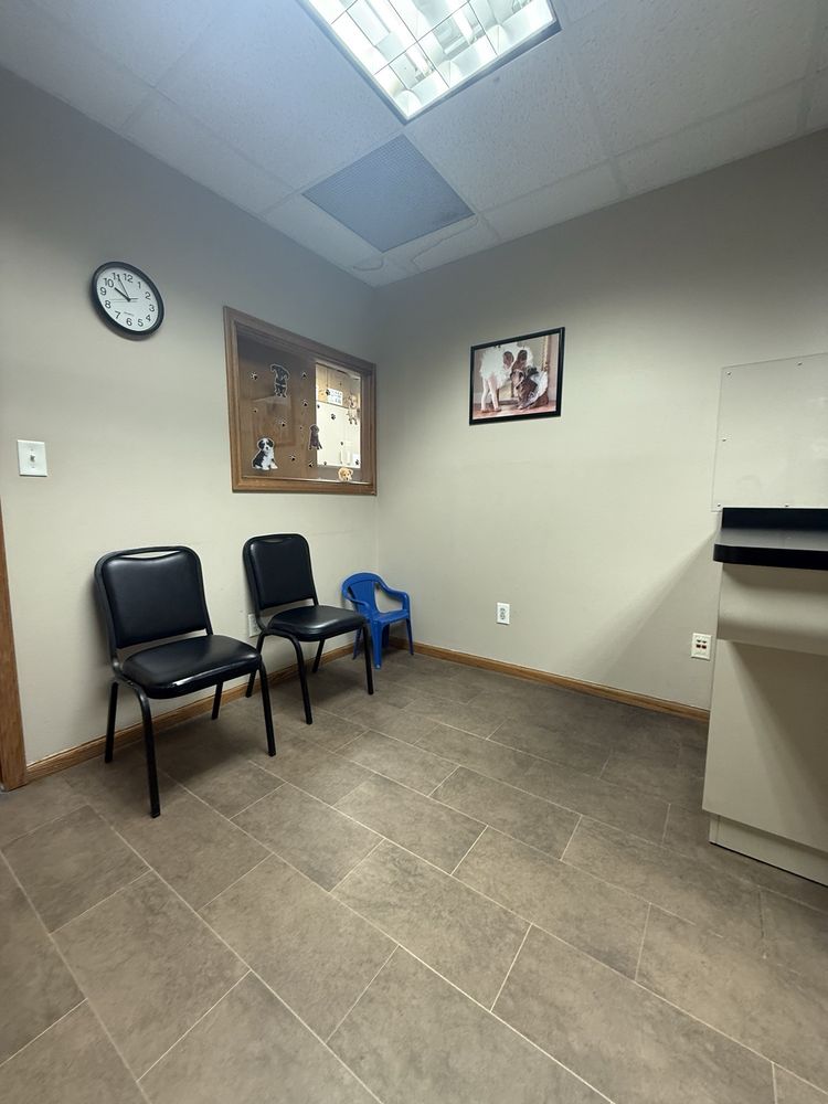 Best Friends Veterinary Care Image