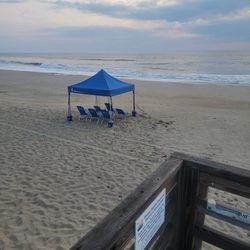 Farmdog Beach Services - What a pleasure it was to not have to pack any beach chairs or umbrellas and not have to lug them to the beach every day.